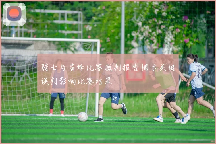 骑士与黄蜂比赛裁判报告揭示关键误判影响比赛结果